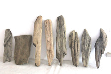 Schwemmholz Treibholz 8