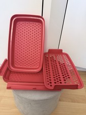 Tupperware Schüttelparty Flip