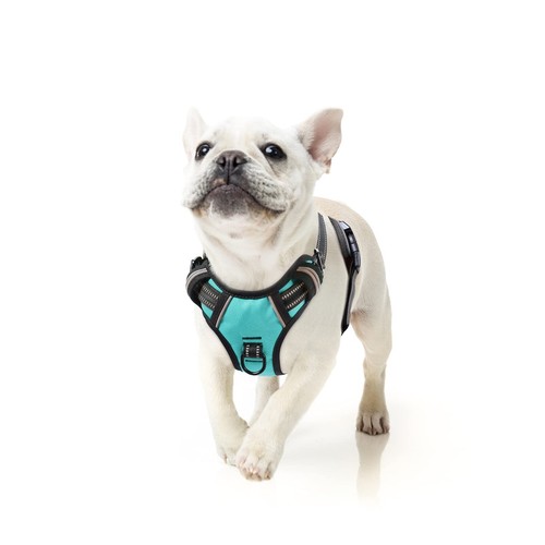 Hundegeschirr geschirr für - hundegeschirr,,