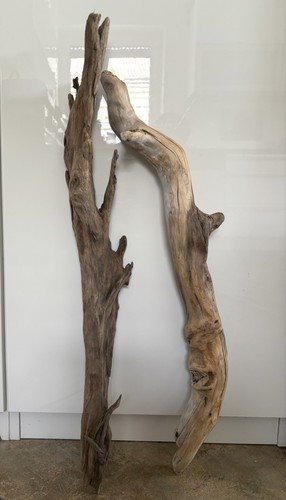 Treibholz geschwungene - /2x,