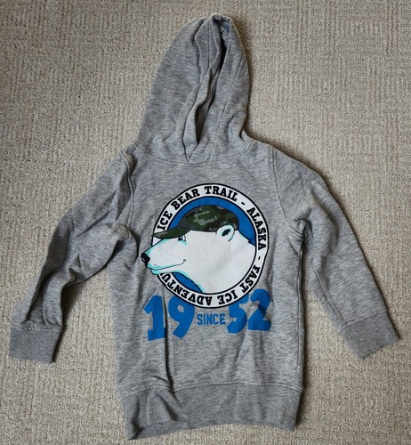 Hoodie grau mit eisbär - in,