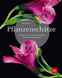 Pflanzenschätze exotische - pflanzenschätze:,