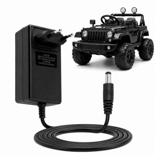 24v 1000ma ladegerät mit - 24v,