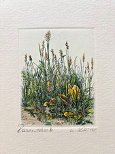 Original Radierung nach Dürer