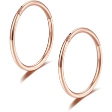 Titan Nasenpiercing Ring 16g