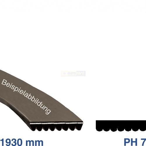 Rippenriemen 1930ph7 1930h7 - 1930ph7,