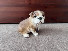 Chinesischer Faltenhund Deko