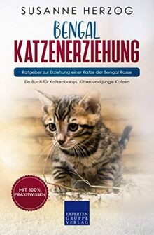 Bengal katzenerziehung - bengal,