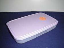 Tupperware Gefrierdose flach  mit Datumsanzeige   Behälter  650 ml  flach