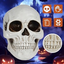 Realistisches menschliches