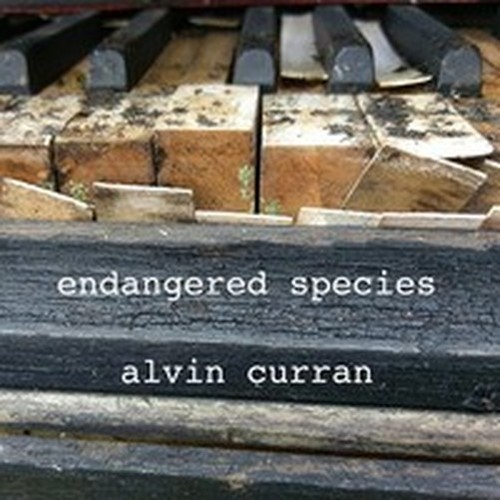 Alvin curran yamaha - alvin,