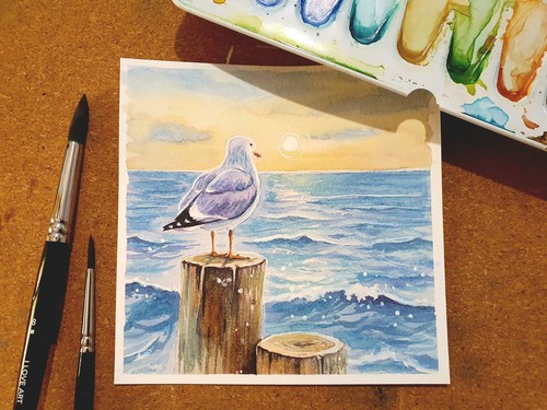 Aquarell möwe schaut aufs - schaut,