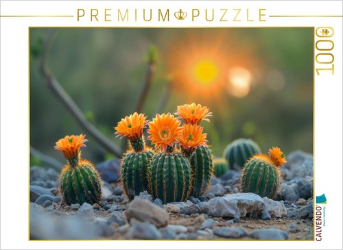 Calvendo puzzle orange - calvendo,