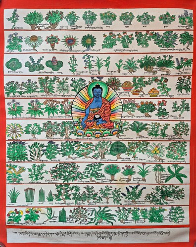 Thangka medizin buddha - buddha, ~