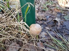 2x Geocaching Cache Versteck
