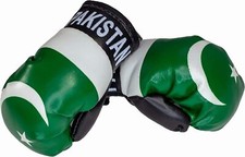 Mini Boxhandschuhe Pakistan