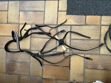 Trense Der   Leopard