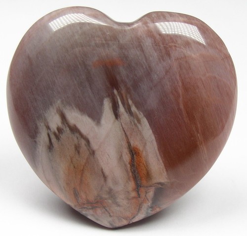 Versteinertes holz herz - holz, herzen