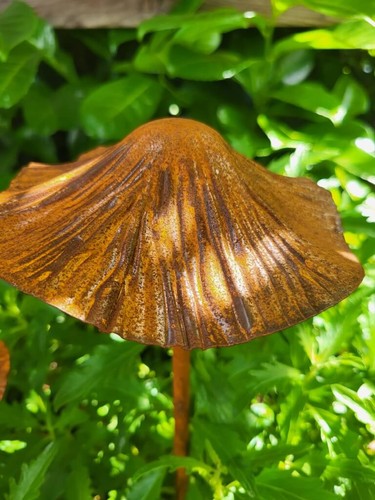 Edelrost pilz zum stecken - 3d,
