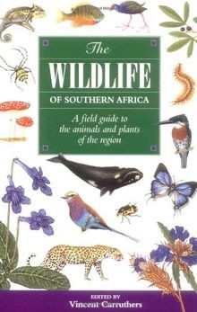 The wildlife southern - wildlife, of