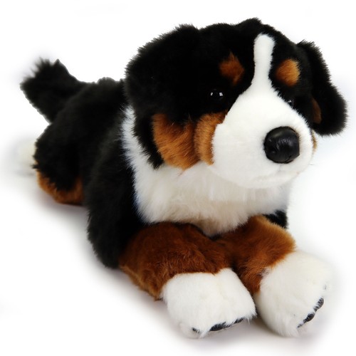 Plüsch hund berner sennenhund - plüsch,