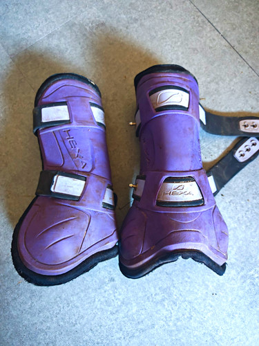 Hexa pferde gamaschen paar - pferde-gamaschen,