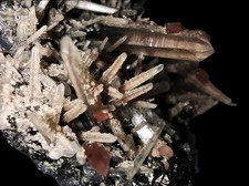 Rhodochrosit Colorado USA