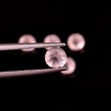 100 Stück Natürlich Rose