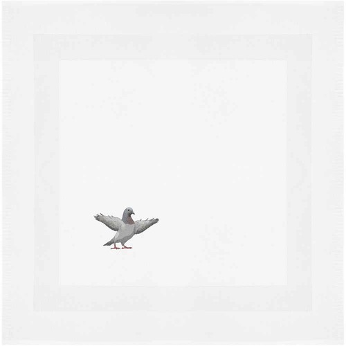 Pigeon with wings spread - wings, spread'