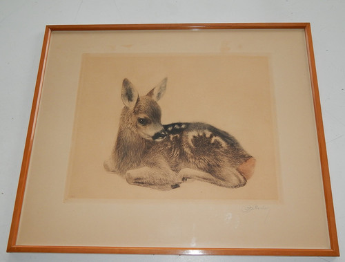 Rehkitz original radierung von - radierung,