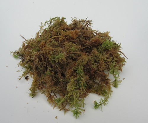 500g torfmoos sphagnum moos - torfmoos,