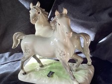 Cortendorf Pferde Schimmel Alt