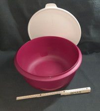 Tupperware 6 Liter Pro