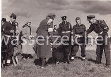 Original Foto Militärpolizei