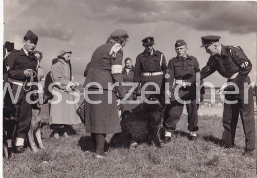 Original foto militärpolizei - foto,