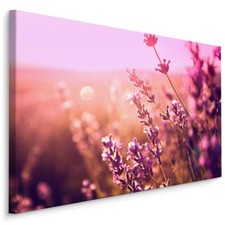 CANVAS Leinwand Bilder XXL
