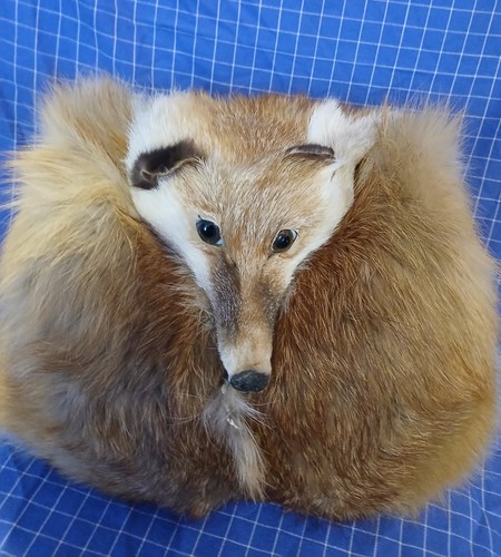 Fuchs pelz muff - pelz,,