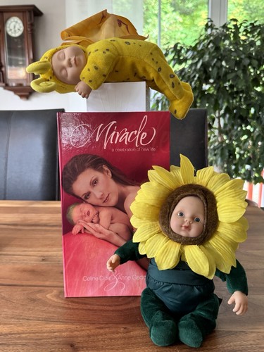 Anne geddes - anne,