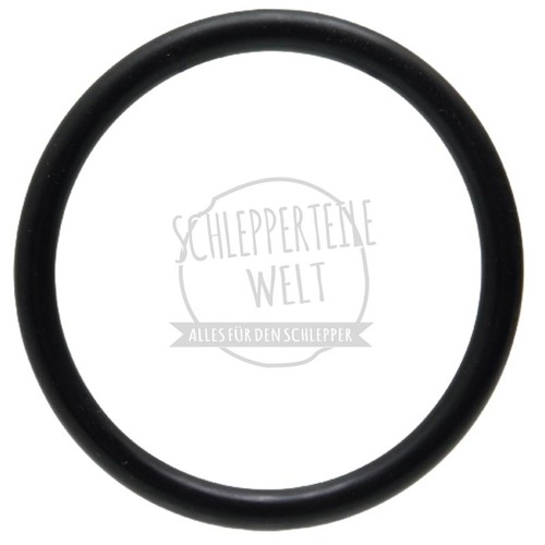 Ring für fritzmeier verdeck - o-ring,