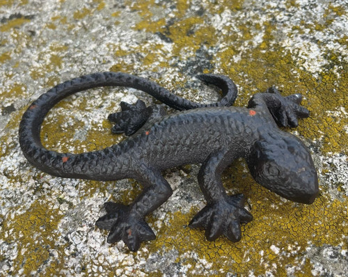 Gartendeko salamander gecko - gartendeko,
