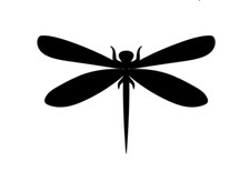 Aufkleber Dragonfly Animal Vogel Car Auto Sticker Tuning JDM Decal LKW Scene 