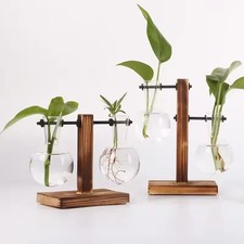 Glasvase Terrarium Hydrokultur Mini Pflanze Dekoration für Zuhause Büro