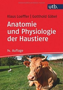 Anatomie und physiologie - und, der