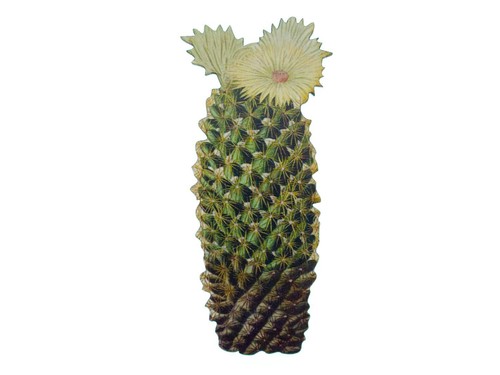 Kaktus brosche miniblings - kaktus,