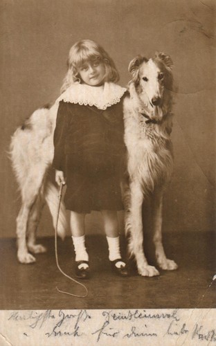 Mädchen mit windhund - mädchen, windhund,