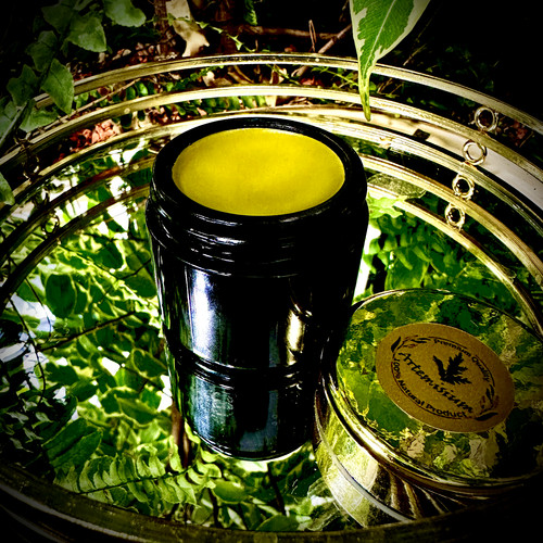 Artemisia annua salbe forte - annua,