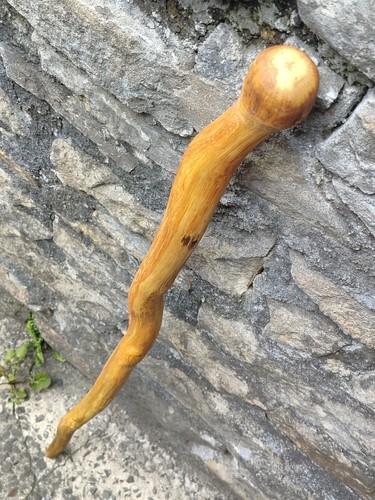 Snakey raw welsh - snakey,