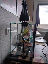Verkaufe Terrarium H=40cm
