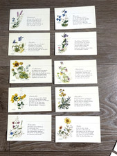 RARITÄT  10 Bestimmungskarten