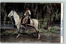 39354284 - Gaucho Criollo Uruguay